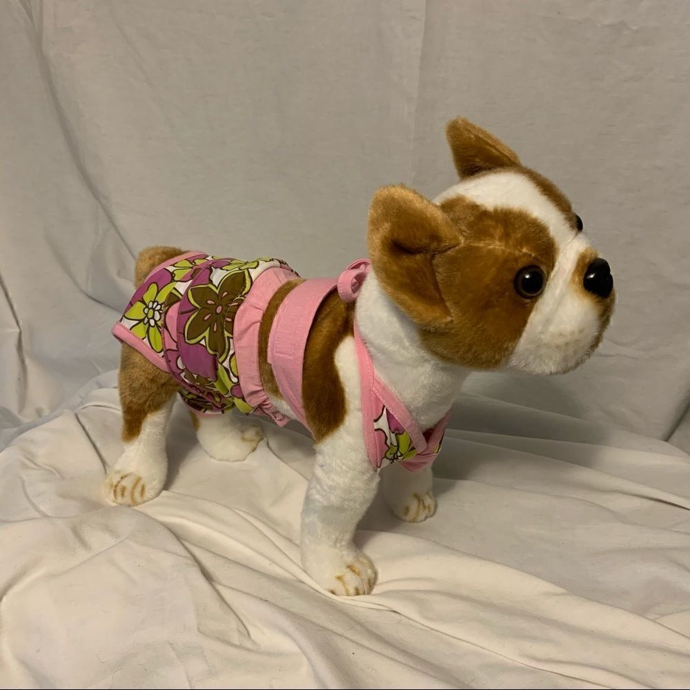 Casual Canine Floral Doggie Bikini Set Sz M